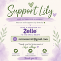 💚 Support Lily’s Journey